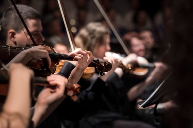 Live Musicians